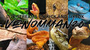 Venomman20 🐍 Banner