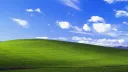 Post Snoot Clarity banner