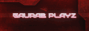 banner