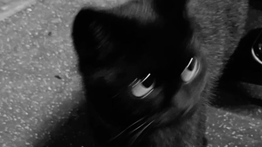 RAGE BAIT・🥀 Discord server banner