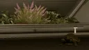 Stanton Serenity banner