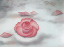 𝒞𝓊𝓅𝒾𝒹'𝓈 𝒞𝑜𝓋𝑒 banner