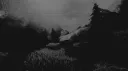 Rancid banner