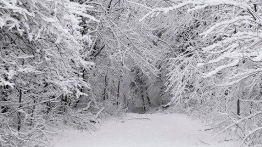 H4VEN ・ ART | SOCIAL | RBLX Discord server banner