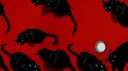 𝙹𝚊𝚣𝚣 𝙲𝚕𝚞𝚋 banner