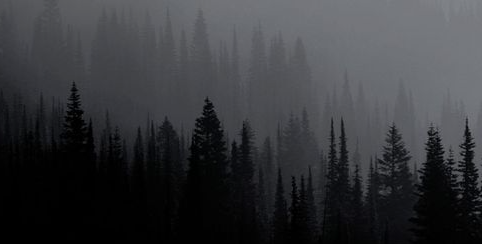 Requzoi Discord server banner