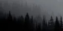 Requzoi Discord server banner