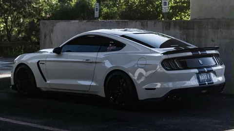Mustang Owners Club (MOC) banner