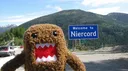 𝐍𝐢𝐞𝐑𝐜𝐨𝐫𝐝 Discord server banner