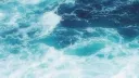 Sea of Shippers banner