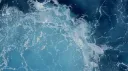 Sea of Shippers banner