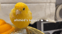 مغلق banner