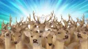 My Deer Friend Nokotan banner