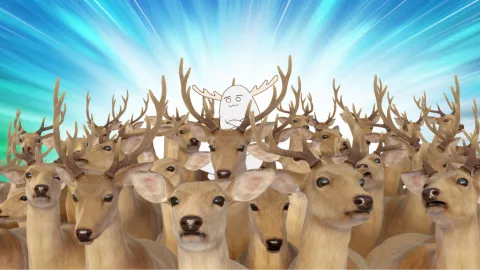 My Deer Friend Nokotan banner