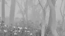 ✦ ᴡʜɪᴛᴇ ᴀʙʏꜱꜱ | 白い深淵 server banner