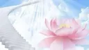 🎐 VINDICORD ❀ Discord server banner