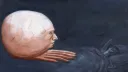 ๐ Omega World ๐ Discord server banner