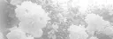 Artyom's profile banner