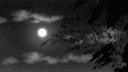 Vinńs District | Roblox Store™ banner