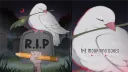 The Mourning Doves 🕊 banner