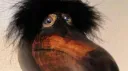 🌿𝓣𝓱𝓮 𝓝𝓸𝓽𝓸𝓻𝓲𝓸𝓾𝓼 𝓣𝓮𝓮𝓷𝓼🌿 Discord server banner