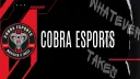 Cobra Esports banner