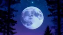 🧬ℌ𝔲𝔪𝔞𝔫🎭𝔄𝔯𝔱𝔰💗𝔏𝔦𝔣𝔢🫂𝔖𝔭𝔦𝔯𝔦𝔱🌟 banner