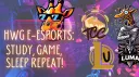 HWG E-Sports banner