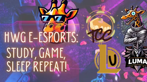 HWG E-Sports banner