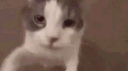 Сервер диктатуры мокс44 banner