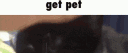 PetPet#8731 banner