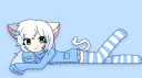 Worm banner