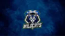 Caledonian Wildcats banner