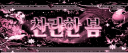 찬란한 봄 server banner