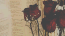 Pretty Lil Baby banner