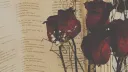 Pretty Lil Baby banner