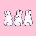 ‧₊˚✧Bunny Academia✧˚₊‧ Discord server banner