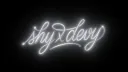 S x D banner