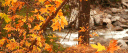 The Fallen Leaves server banner