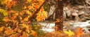 The Fallen Leaves server banner