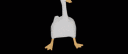 The Goose Caboose banner