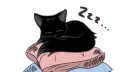 𝖤𝖤𝖯𝖸 𝖢𝖠𝖳 ᙆz Discord server banner
