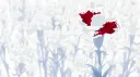 kasoc banner
