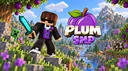 PlumSMP banner