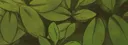 Barney#8747 banner