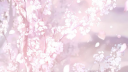 ♡ Mizuki World ⋆.𐙚 ̊ server banner