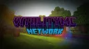 VitalityMC | Network banner