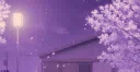 AniVerse™ | Social・Chill・Anime・Active・Hangout・Gws・Ask2dm・ Make Friends・VC・SFW Discord server banner