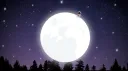 Starlight Kingdom banner