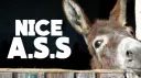 Aus Social Society 18+ Discord server banner